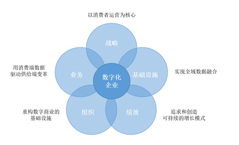 数字化时代网站制作企业类型解析：的优势与不足”